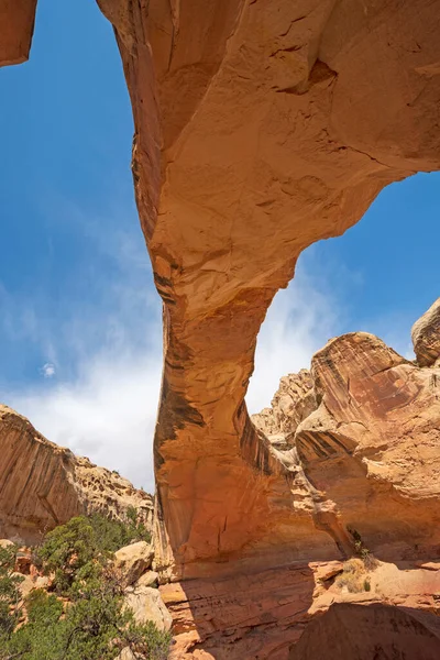 Patrząc Górę Piaskowiec Naturalny Most Hickman Naturalny Most Capitol Reef — Zdjęcie stockowe