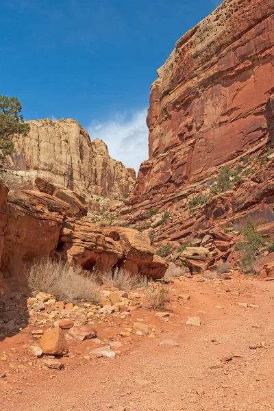 Lit Ruisseau Sec Dans Canyon Red Rock Dans Grand Wash — Photo