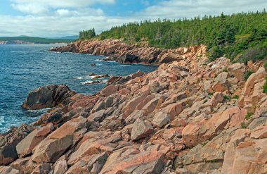Rocky Coastline in Nova Scotia, Cape Breton Highlands Ulusal Parkı