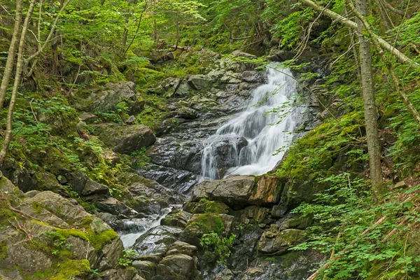 Cicha Kaskada Wychodząca Zielonego Lasu Przy Macintosh Falls Parku Narodowym — Zdjęcie stockowe