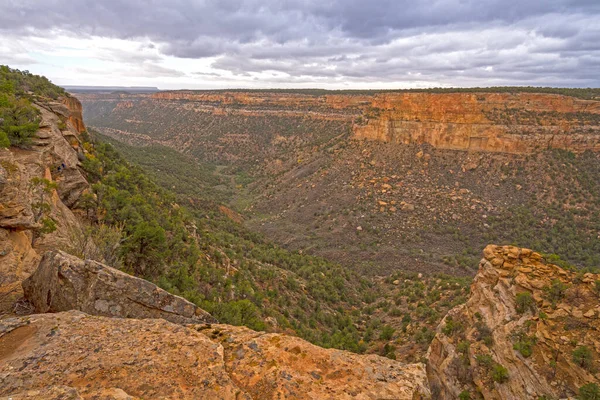 Cliffs Canyons Scrublands West Mesa Verde National Park Colorado — Stock Photo, Image