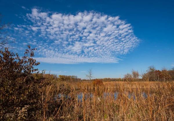 Хмари Altocumulus Wetland Pond Crabtree Nature Preserve Іллінойсі — стокове фото