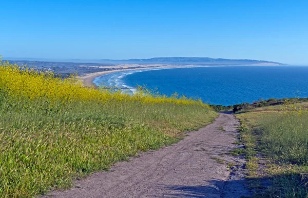 Barevná Stezka Vedoucí Oceánu Rezervaci Pismo Kalifornii — Stock fotografie