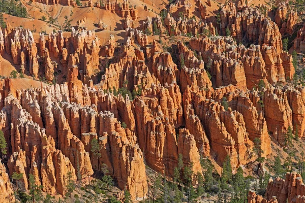 Hoodoo Details Western Canyon Bryce Canyon National Park Utah — Stock Photo, Image