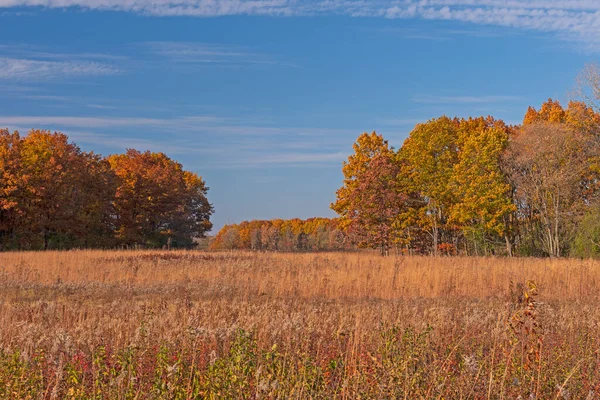 Herfst Kleuren Prairie Het Bos Krabpaal Natuurreservaat Illinois — Stockfoto