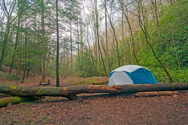 Quiet Campsite Appalachian Mountains Spring Great Smoky Mountains National Park — 스톡 사진