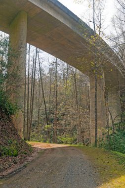 Kuzey Carolina 'daki Büyük Dumanlı Dağlar' daki Curvig Road Köprüsü 'nün Altında Yürüyüş Yolu