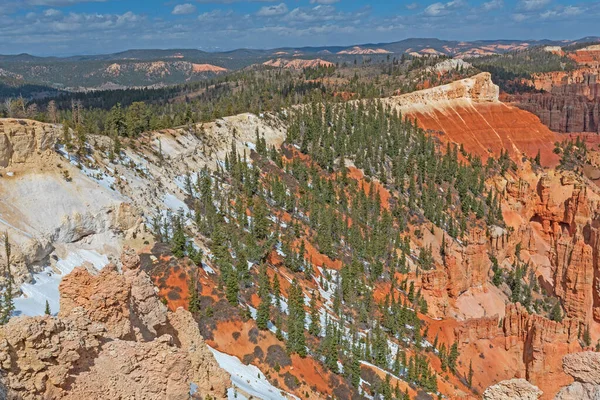 Spring Snow Red Rocks Pines Bryce Canyon National Park Utah — 图库照片