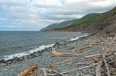 Driftwood on a Remote Rocky Coast in Cape Breton Highlands National Park in Nova Scotia