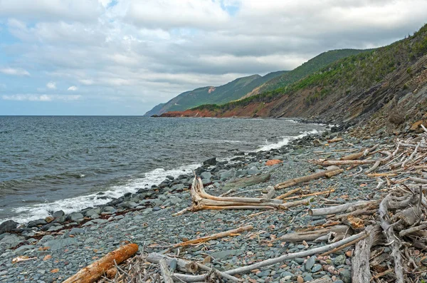 Driftwood Remote Rocky Coast Cape Breton Highlands National Park Nova — Fotografia de Stock