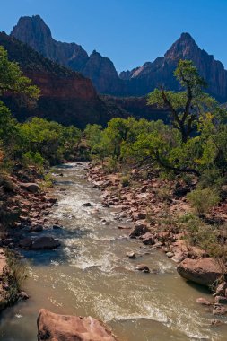 A Desert River Cutting Through the Desert Shadows in Zion National Park in Utah