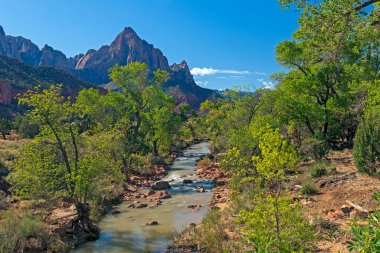 Desert Virgin River Flowing Through a Canyon in Autumn in Zion National Park in Urah