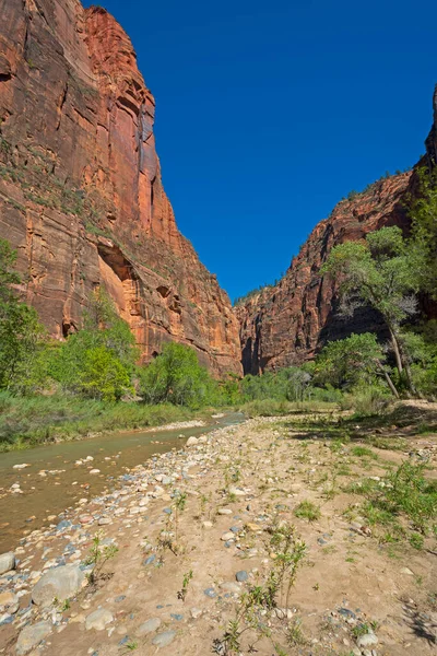 Approaching Narrows Zion Utah — Foto Stock