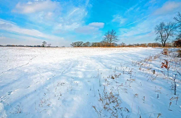Quiet Time Snowy Field Moraine Hills State Park Illinois — ストック写真