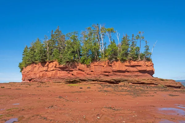 Coastal Island Low Tide Burntcoat Head Bay Fundy Nova Scotia — 图库照片