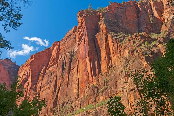 Scogliere Incombenti Profondo Canyon Nel Parco Nazionale Zion Nello Utah — Foto Stock