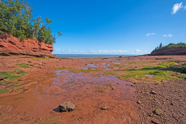 Baixa Maré Baía Fundy Burntcoat Head Nova Escócia — Fotografia de Stock