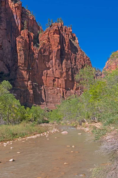 Virgin River Dirige Verso Ripido Canyon Nel Parco Nazionale Zion — Foto Stock