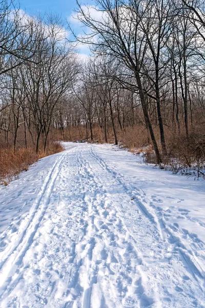 Viel Befahrene Strecke Winterschnee Moraine Hills State Park Illinois — Stockfoto