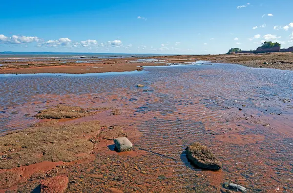 Приливные Бассейны Алонг Залива Фаи Бернтшут Хед Новой Скотии — стоковое фото
