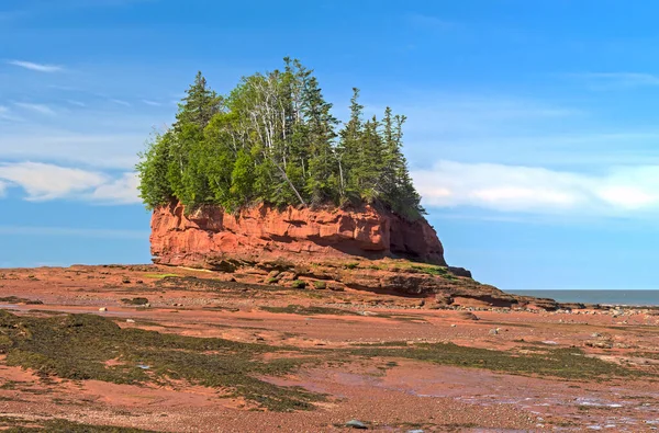 Inselhoch Über Der Ebbe Burntcoat Head Der Bucht Von Fundy — Stockfoto