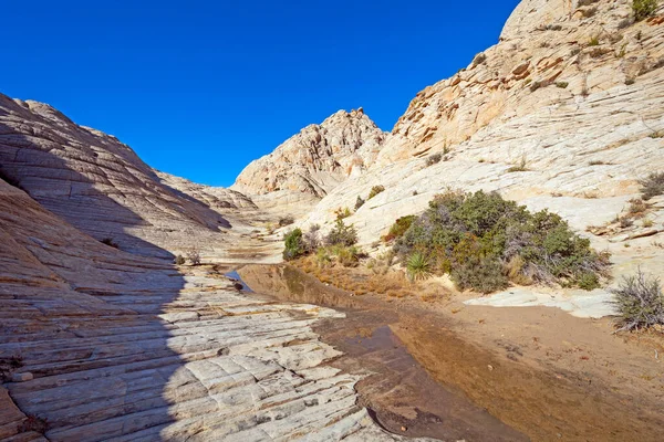 犹他州雪峡谷州立公园白岩峡谷中的泉水 — 图库照片