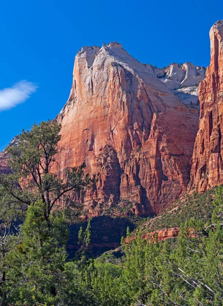 Szczyt Piaskowca Spring Time Light Parku Narodowym Syjon Utah — Zdjęcie stockowe