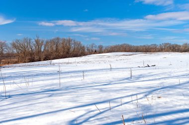 Illinois 'deki Volo Bataklığı Eyaleti' nde Kış Sahnesinde Sessiz Gölgeler
