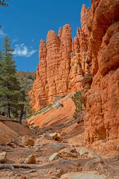 Canyon Isolé Dans Nature Sauvage Red Rocks Utah — Photo