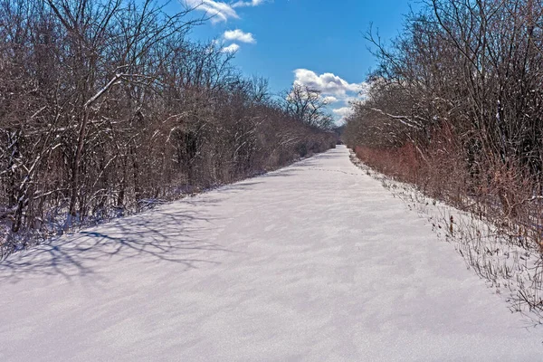 Unbroken Snow Rural Road Crabtree Nature Center Illinois — Stock Photo, Image