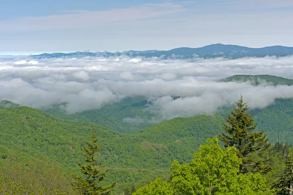 ノースカロライナ州のブルーリッジ パークウェイの山の上にぶら下がっている朝の雲 — ストック写真