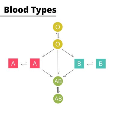Blood types compatibility diagram. ABO blood group system. Vector illustration. Didatic illustration. clipart