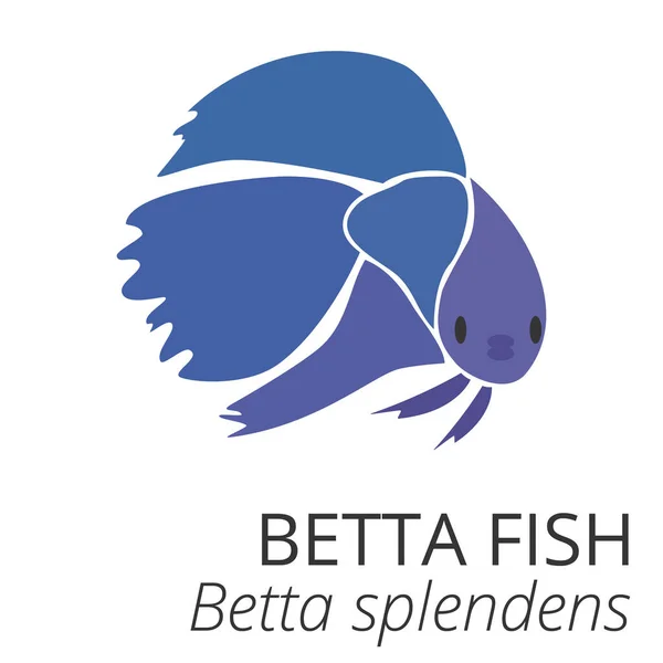 İsmi ve bilimsel adı olan şirin betta balığı çizgi filmi. Ticari kullanım için vektör illüstrasyonu.