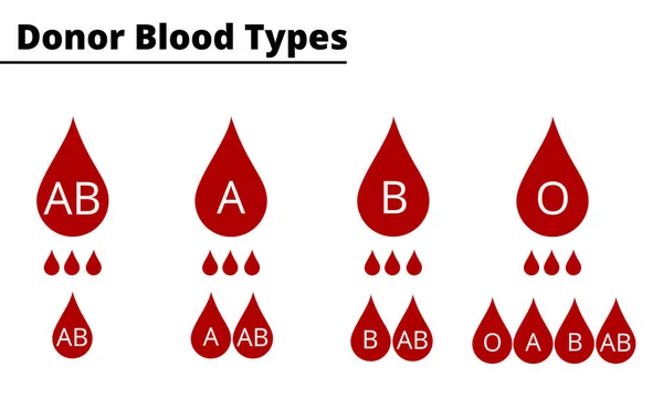 Diagrama Compatibilidad Los Tipos Sangre Del Donante Sistema Grupos Sanguíneos — Vector de stock