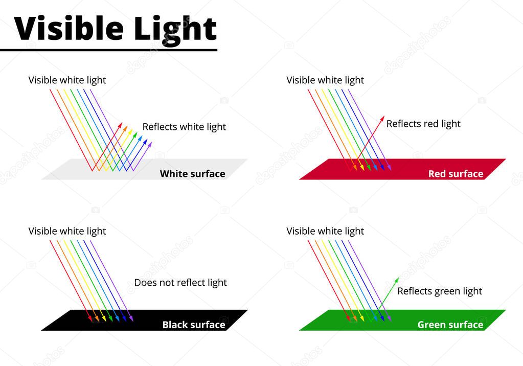 Visible colors from lightwaves on surfaces. Light waves are reflected or absorbed on different surfaces. Vector illustration. Didatic illustration.