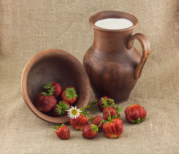 toprak kap içinde çilek rustik natürmort