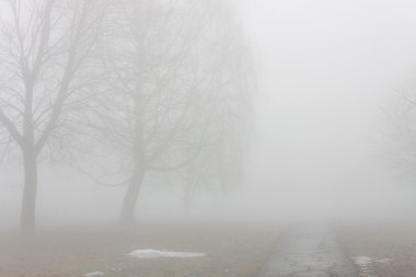 sis erken Bahar Parkı