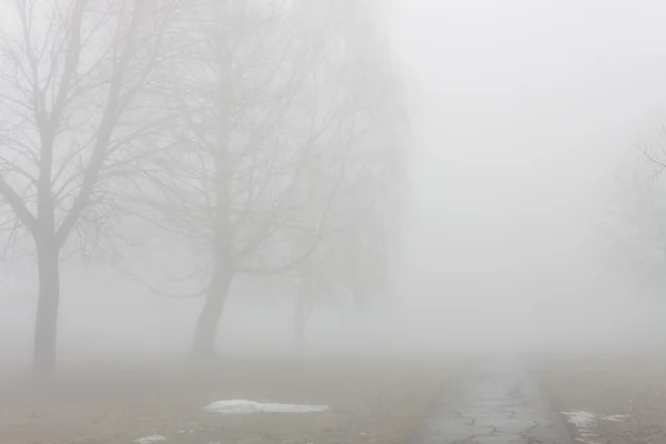 Parque paisagístico no nevoeiro início da primavera — Fotografia de Stock