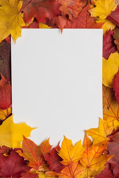 Белый лист бумаги на желтых осенних листьях — стоковое фото