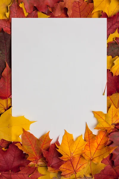 White sheet of paper on yellow autumn leaves Royalty Free Stock Images