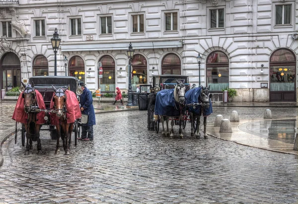 fiacres horse cabs on the street of Vienna