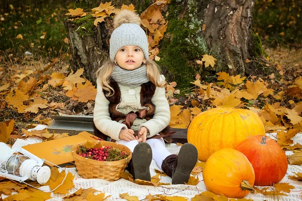 Chica con calabazas en el fondo de otoño — Foto de Stock