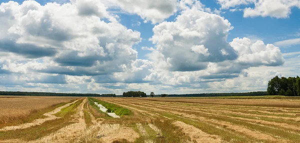 alan hasat ve büyük taşkın bulutlar, yaz yatay