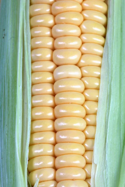 mısır
