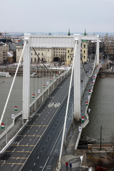 Ponte Elisabeth — Foto Stock