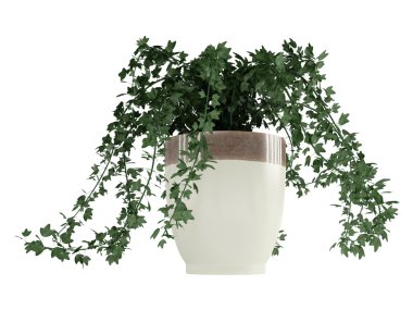 Ivy bir konteyner üzerinde takip ediyor