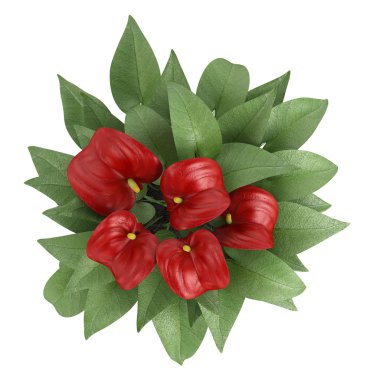 Kırmızı antoryum çiçek