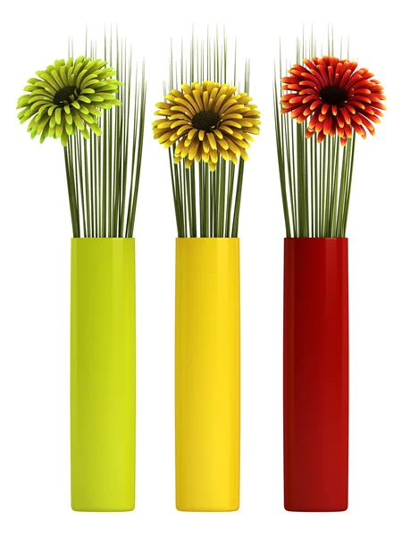 Three gerbera daisies — Stock Photo, Image