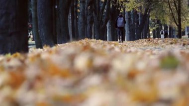 Tanımlanamayan insanların siluetleri parkta yol boyunca yürüyor. Öğrenciler