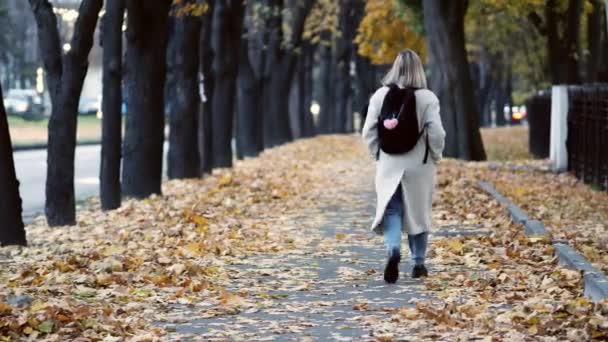 Silhouetten von nicht wiederzuerkennenden Menschen, die Gasse Straße in Park. Junges Mädchen — Stockvideo